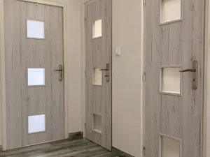 Pronájem bytu 2+1, Chomutov, Cihlářská, 52 m2