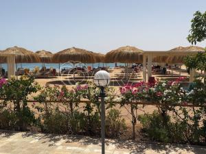 Prodej bytu 1+kk, Hurgáda,Egypt, 59 m2