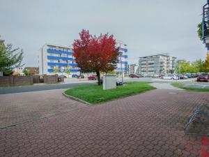 Prodej bytu 3+kk, Poděbrady - Poděbrady III, Čechova, 60 m2