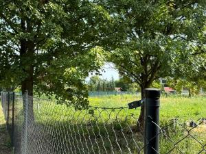 Pronájem pozemku, Teplice, Osiková, 2008 m2