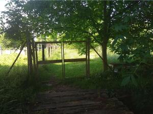 Prodej zahrady, Mohelnice, 391 m2