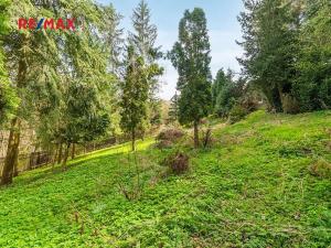 Prodej chalupy, Nečtiny, 160 m2