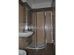 Pronájem bytu 1+kk, České Budějovice - České Budějovice 2, U Lesa, 26 m2