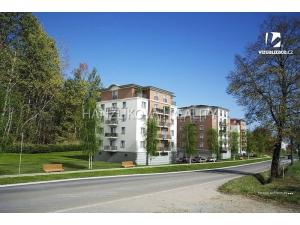 Pronájem bytu 1+kk, České Budějovice - České Budějovice 2, U Lesa, 26 m2