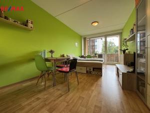 Prodej bytu 1+kk, Olomouc - Hodolany, Kavaleristů, 25 m2