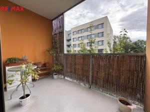 Prodej bytu 1+kk, Olomouc - Hodolany, Kavaleristů, 25 m2