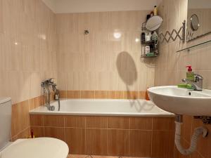 Prodej bytu 1+kk, Olomouc - Hodolany, Kavaleristů, 25 m2