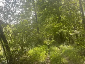 Prodej louky, Chlum u Třeboně - Žíteč, 389696 m2