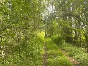 Prodej louky, Chlum u Třeboně - Žíteč, 389696 m2