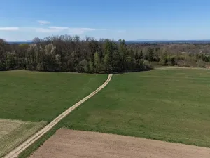 Prodej lesa, Chlum u Třeboně - Žíteč, 389696 m2