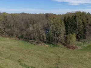 Prodej lesa, Chlum u Třeboně - Žíteč, 379696 m2