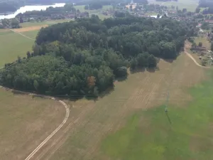 Prodej lesa, Chlum u Třeboně - Žíteč, 360000 m2