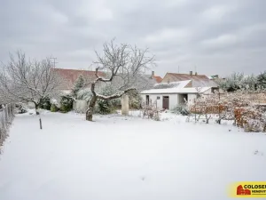 Prodej rodinného domu, Hrušovany nad Jevišovkou, 114 m2