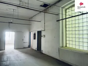 Prodej výrobních prostor, Úpice, Bezručova, 859 m2