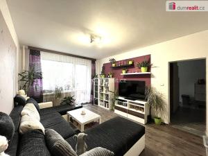 Prodej bytu 1+1, Sokolov, Švabinského, 45 m2