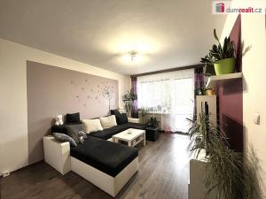 Prodej bytu 1+1, Sokolov, Švabinského, 45 m2