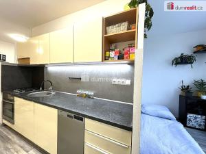 Prodej bytu 1+1, Sokolov, Švabinského, 45 m2