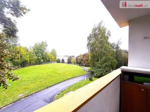 Prodej bytu 1+1, Sokolov, Švabinského, 45 m2