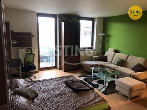 Pronájem bytu 1+kk, Hradec Králové, Plácelova, 44 m2
