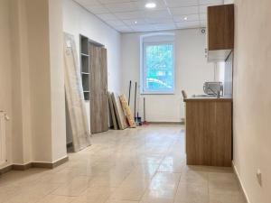 Pronájem kanceláře, Plzeň - Jižní Předměstí, Doudlevecká, 53 m2