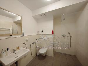 Pronájem bytu 2+kk, České Budějovice, Nová, 47 m2