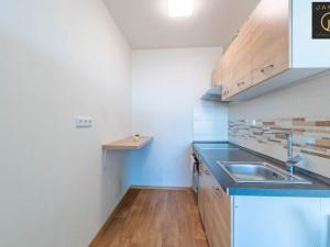 Prodej bytu 2+kk, Litoměřice - Pokratice, Alfonse Muchy, 41 m2