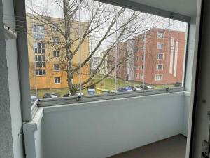 Pronájem bytu 2+1, Ostrava, Mitušova, 50 m2