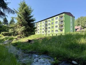 Pronájem bytu 1+1, Kraslice, Wolkerova, 36 m2