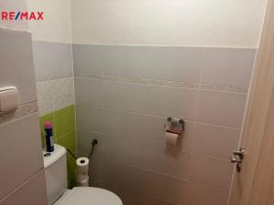 Prodej rodinného domu, Roštění, 450 m2