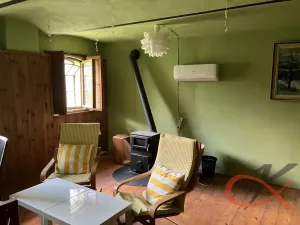 Prodej vícegeneračního domu, Čelechovice na Hané, 438 m2