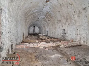 Prodej komerčního pozemku, Olešnice v Orlických horách, 2963 m2