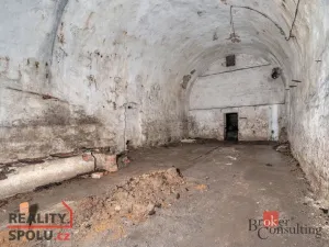 Prodej pozemku pro bydlení, Olešnice v Orlických horách, 2963 m2