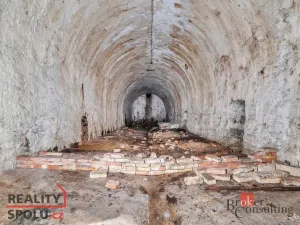 Prodej pozemku pro bydlení, Olešnice v Orlických horách, 2963 m2