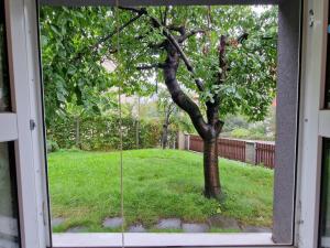 Pronájem bytu 1+kk, Praha - Strašnice, Pod strašnickou vinicí, 30 m2
