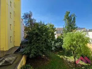 Pronájem bytu 2+kk, Praha - Nové Město, Mezibranská, 54 m2