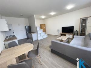 Pronájem bytu 1+kk, Prostějov, Wolkerova, 50 m2