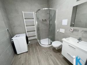 Pronájem bytu 1+kk, Prostějov, Wolkerova, 50 m2