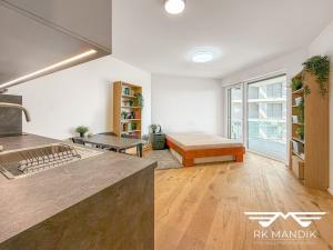Pronájem bytu 1+kk, Praha - Strašnice, Ramonova, 31 m2