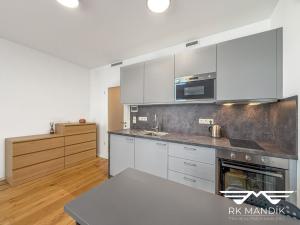 Pronájem bytu 1+kk, Praha - Strašnice, Ramonova, 31 m2