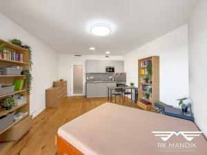 Pronájem bytu 1+kk, Praha - Strašnice, Ramonova, 31 m2