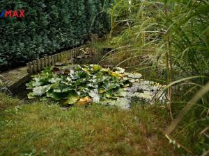 Prodej rodinného domu, Sobkovice, 160 m2