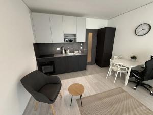 Pronájem bytu 1+kk, Brno, Trnitá, 26 m2