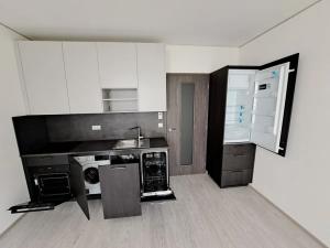 Pronájem bytu 1+kk, Brno, Trnitá, 26 m2