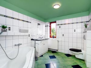 Prodej rodinného domu, Skorkov, 171 m2