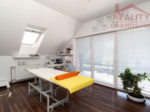 Prodej obchodního prostoru, Dolní Benešov, Vývoz, 39 m2