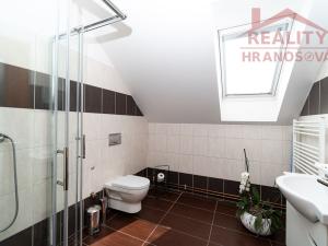 Prodej obchodního prostoru, Dolní Benešov, Vývoz, 39 m2