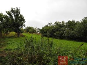 Prodej podílu 2/3 rodinného domu, Miroslavské Knínice, 80 m2