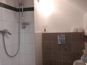 Pronájem obchodního prostoru, České Budějovice - České Budějovice 4, Rudolfovská tř., 60 m2