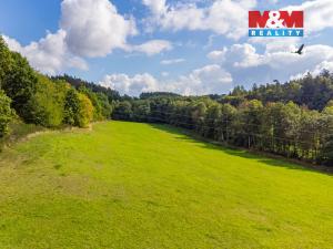Prodej louky, Nechvalice - Bratříkovice, 21366 m2
