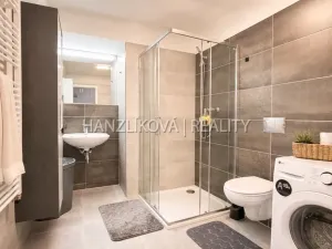 Pronájem bytu 1+kk, České Budějovice, O. Nedbala, 51 m2